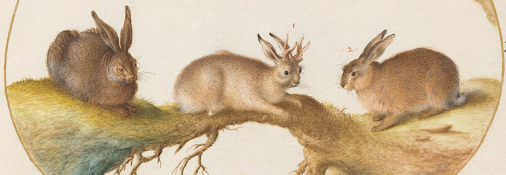 Three rabbits from an old manuscript, the center one with horns