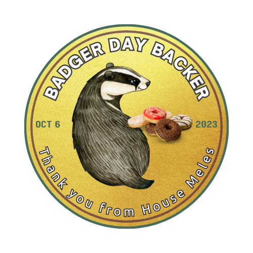 Gold Badger Day award for Badger Trust supporters