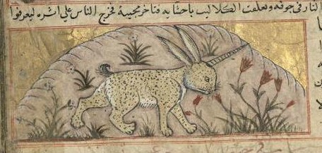 Header of a Muslim Renaissance manuscript: a yellow leopard-spotted rabbit with a black unicorn horn against a stylized island